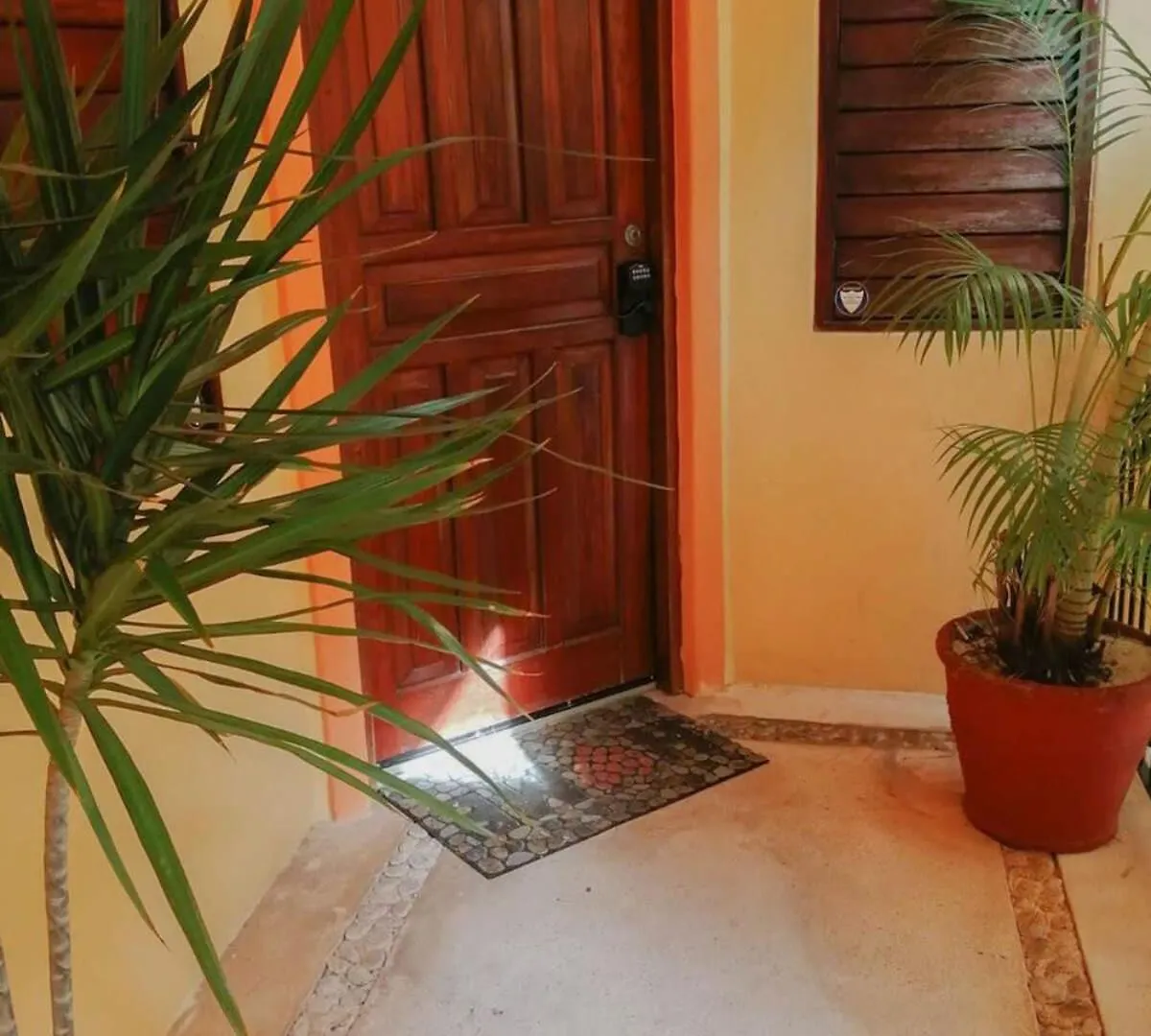 Steps To 5Th Ave Pool Onsite & Walk To Beach Playa del Carmen 0*,  Mexikó
